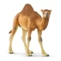 Mobile Preview: Schleich Dromedary