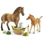 Preview: Schleich Set Tierbaby-Pflege und Pferde Quarter Horse