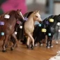Preview: Schleich Beauty Andalusian mare