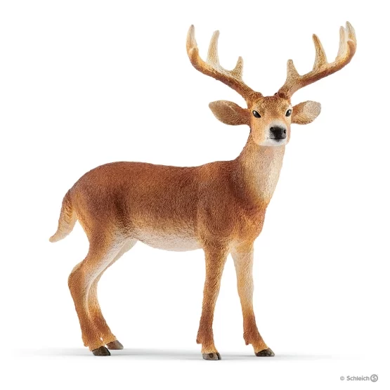 Schleich White-tailed Deer